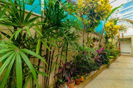 Casa à venda com 450m², 3 quartos e 3 vagas