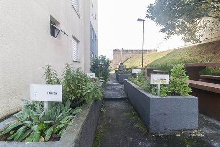 Apartamento para alugar com 42m², 2 quartos e 1 vaga Apartamento para alugar com 42m², 2 quartos e 1 vagaHorta