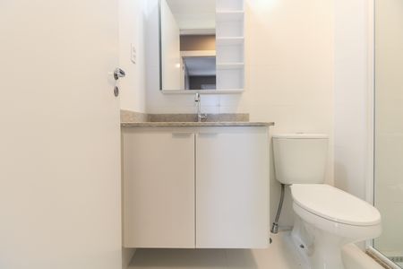 Apartamento para alugar com 65m², 2 quartos e 1 vaga Apartamento para alugar com 65m², 2 quartos e 1 vagaBanheiro Social