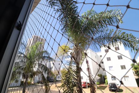 Apartamento para alugar com 56m², 3 quartos e 2 vagasVista