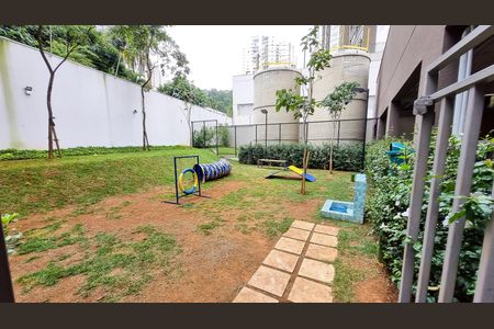 Studio para alugar com 25m², 1 quarto e sem vaga Studio para alugar com 25m², 1 quarto e sem vagapet