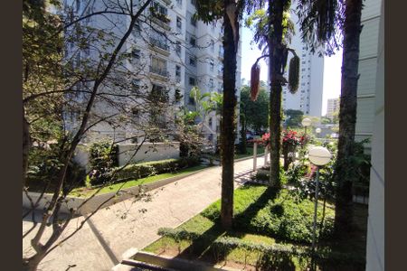 Apartamento para alugar com 65m², 2 quartos e 1 vagaVista da Rua