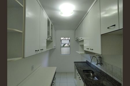 Apartamento para alugar com 65m², 2 quartos e 1 vagaCozinha - Armários