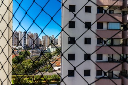 Apartamento para alugar com 62m², 3 quartos e 1 vagaSuíte - Vista