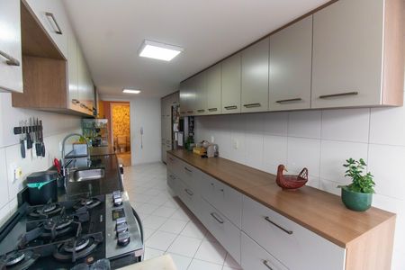 Apartamento para alugar com 202m², 3 quartos e 3 vagasCozinha