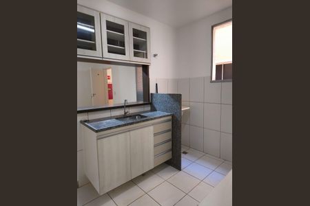 Cozinha de apartamento para alugar com 2 quartos, 44m² em Santa Mônica, Uberlândia