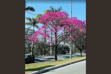 Casa à venda com 440m², 4 quartos e 4 vagas