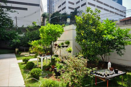 Apartamento para alugar com 50m², 2 quartos e 1 vaga Apartamento para alugar com 50m², 2 quartos e 1 vagaPomar