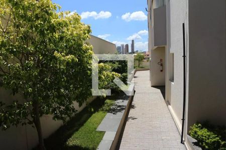 Apartamento para alugar com 61m², 3 quartos e 1 vaga Apartamento para alugar com 61m², 3 quartos e 1 vagaÁrea Comum