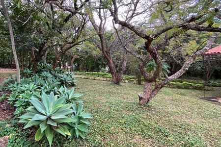 Casa de condomínio à venda com 278m², 3 quartos e 5 vagas Casa de condomínio à venda com 278m², 3 quartos e 5 vagasQuintal
