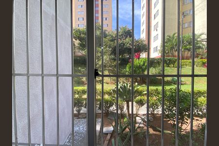 Vista de apartamento para alugar com 2 quartos, 55m² em Bandeiras, Osasco