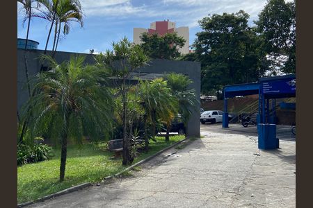 Apartamento para alugar com 55m², 2 quartos e 1 vaga Apartamento para alugar com 55m², 2 quartos e 1 vagaLava Rápido
