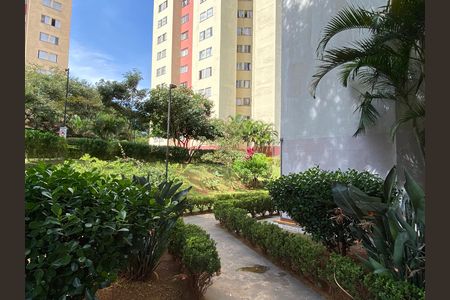 Apartamento para alugar com 55m², 2 quartos e 1 vaga Apartamento para alugar com 55m², 2 quartos e 1 vagaJardim