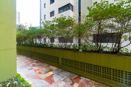 Apartamento para alugar com 54m², 2 quartos e 1 vaga Apartamento para alugar com 54m², 2 quartos e 1 vagaVista da Sacada da Sala