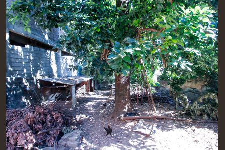 Casa à venda com 470m², 6 quartos e 1 vaga