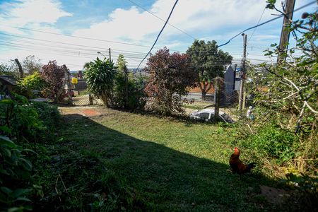 Casa para alugar com 40m², 2 quartos e sem vagaQuintal