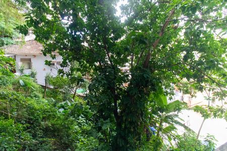 Vista da Sala de apartamento para alugar com 3 quartos, 100m² em Santa Rosa, Niterói