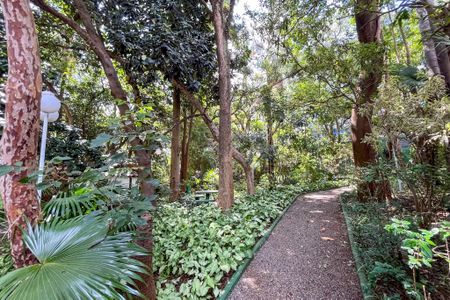 Apartamento para alugar com 132m², 3 quartos e 2 vagas Apartamento para alugar com 132m², 3 quartos e 2 vagasBosque