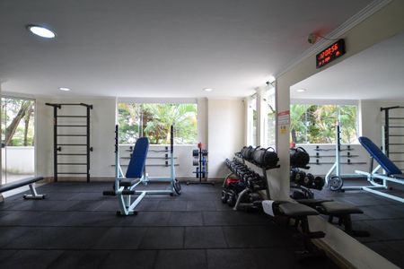 Apartamento à venda com 65m², 3 quartos e 1 vagaAcademia