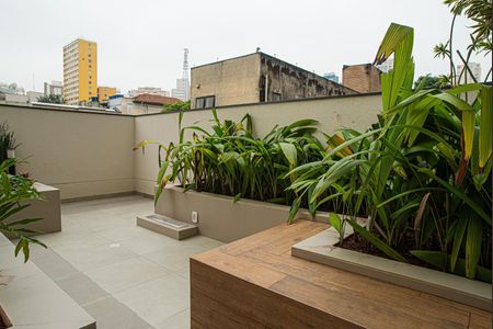 Studio para alugar com 26m², 1 quarto e sem vaga Studio para alugar com 26m², 1 quarto e sem vagaÁrea comum