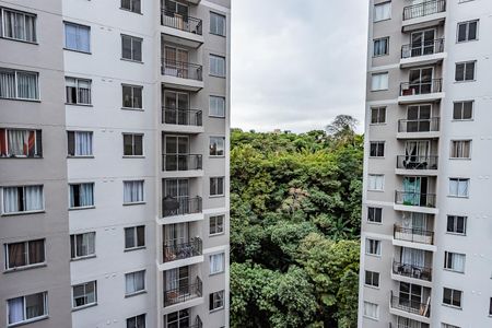 Vista sala de apartamento para alugar com 2 quartos, 35m² em Vila Pirituba, São Paulo