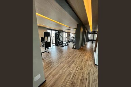 Foto 38 de apartamento para alugar com 1 quarto, 24m² em Ipiranga, São Paulo