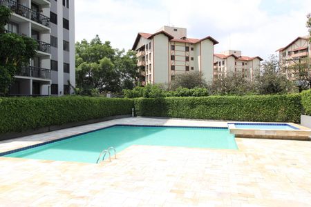 Apartamento para alugar com 57m², 2 quartos e 1 vaga Apartamento para alugar com 57m², 2 quartos e 1 vagaPiscina