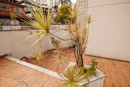 Apartamento para alugar com 265m², 5 quartos e 5 vagasjardim
