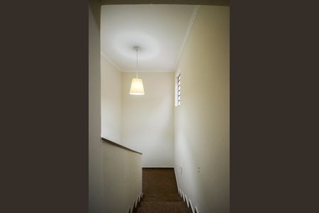 Casa para alugar com 265m², 5 quartos e 5 vagas Casa para alugar com 265m², 5 quartos e 5 vagasEscada