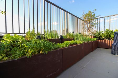 Studio para alugar com 24m², 1 quarto e sem vagaÁrea comum - Terraço 1