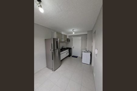Cozinha de apartamento para alugar com 2 quartos, 32m² em Vila Maria, São Paulo