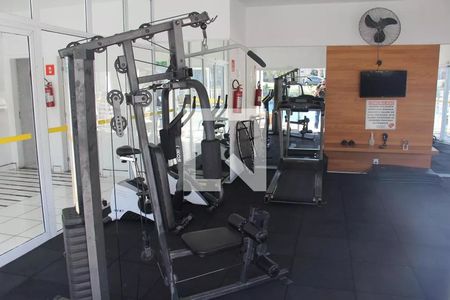Apartamento para alugar com 74m², 3 quartos e 2 vagas Apartamento para alugar com 74m², 3 quartos e 2 vagasAcademia