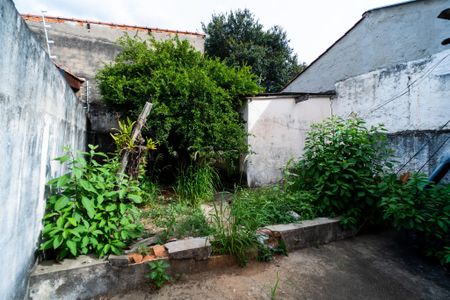 Casa para alugar com 310m², 2 quartos e 1 vaga Casa para alugar com 310m², 2 quartos e 1 vagaJardim