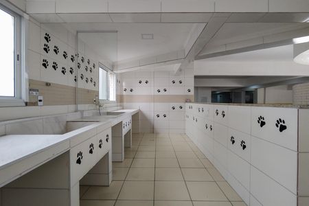 Apartamento para alugar com 55m², 1 quarto e 1 vagaBanho Pet