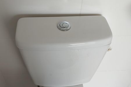 Apartamento para alugar com 59m², 2 quartos e 1 vaga Apartamento para alugar com 59m², 2 quartos e 1 vagaBanheiro da Suíte