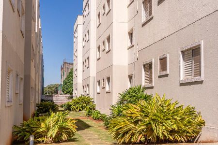 Apartamento para alugar com 65m², 2 quartos e 1 vaga Apartamento para alugar com 65m², 2 quartos e 1 vagaÁrea Comum- Corredor de acesso aos blocos