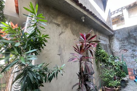 Casa à venda com 60m², 3 quartos e sem vaga Casa à venda com 60m², 3 quartos e sem vagaVerde