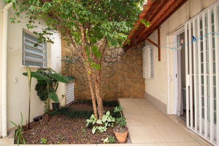 Casa para alugar com 250m², 4 quartos e 3 vagasÁrea externa