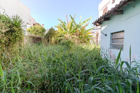 Casa à venda com 52m², 3 quartos e 1 vaga Casa à venda com 52m², 3 quartos e 1 vagaQuintal
