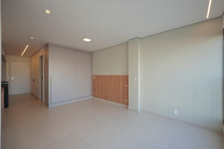 Studio de kitnet/studio para alugar com 1 quarto, 30m² em Ipiranga, São Paulo