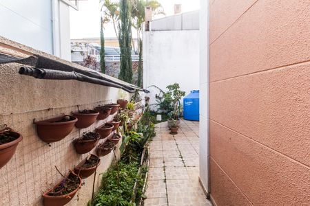 Casa de condomínio à venda com 160m², 3 quartos e 2 vagas Casa de condomínio à venda com 160m², 3 quartos e 2 vagasQuintal