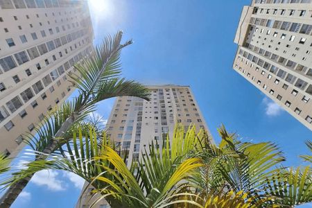 Apartamento à venda com 65m², 3 quartos e 1 vaga