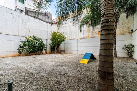 Apartamento à venda com 61m², 2 quartos e 1 vaga Apartamento à venda com 61m², 2 quartos e 1 vagaÁrea comum - Pet place