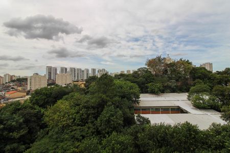 Vista Varanda  de apartamento para alugar com 2 quartos, 53m² em Jardim Umarizal, São Paulo