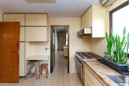 Apartamento à venda com 220m², 3 quartos e 2 vagasCozinha