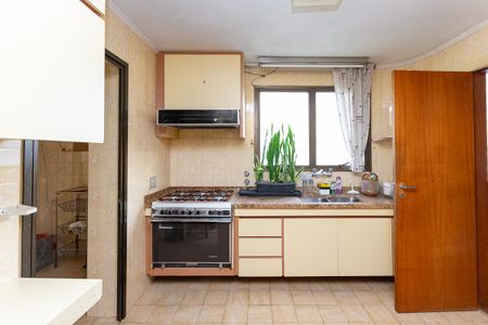 Apartamento à venda com 220m², 3 quartos e 2 vagasCozinha