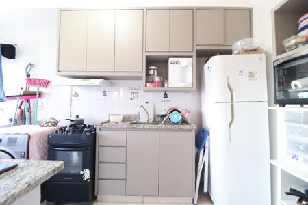 Cozinha de apartamento para alugar com 2 quartos, 49m² em Dona Zulmira, Uberlândia