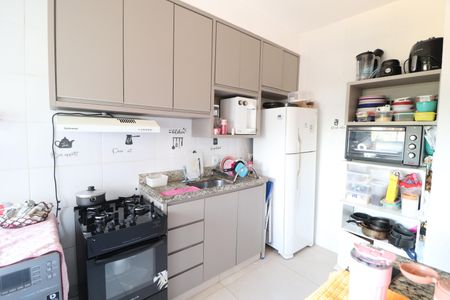 Cozinha de apartamento para alugar com 2 quartos, 49m² em Dona Zulmira, Uberlândia