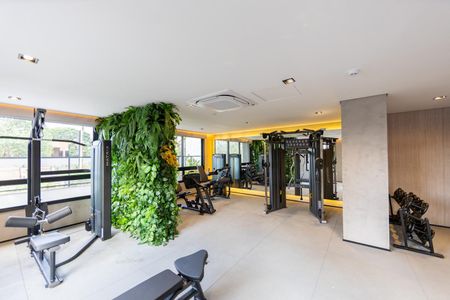 Apartamento para alugar com 63m², 2 quartos e 1 vaga Apartamento para alugar com 63m², 2 quartos e 1 vagaÁrea comum - Academia