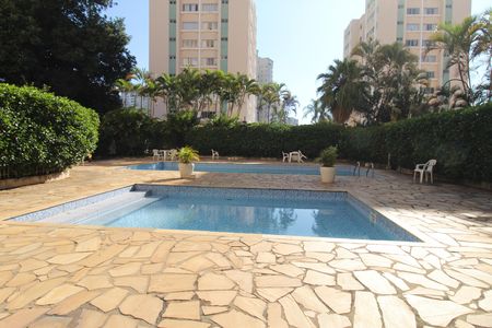 Apartamento para alugar com 80m², 3 quartos e 1 vagaÁrea comum - Piscina